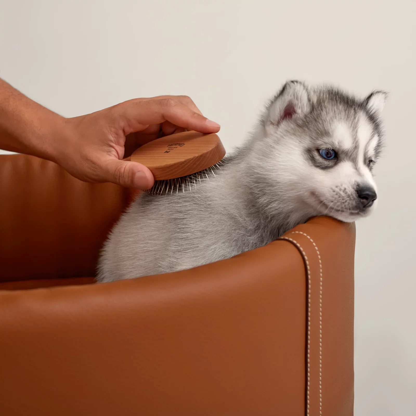 Щетка для собак