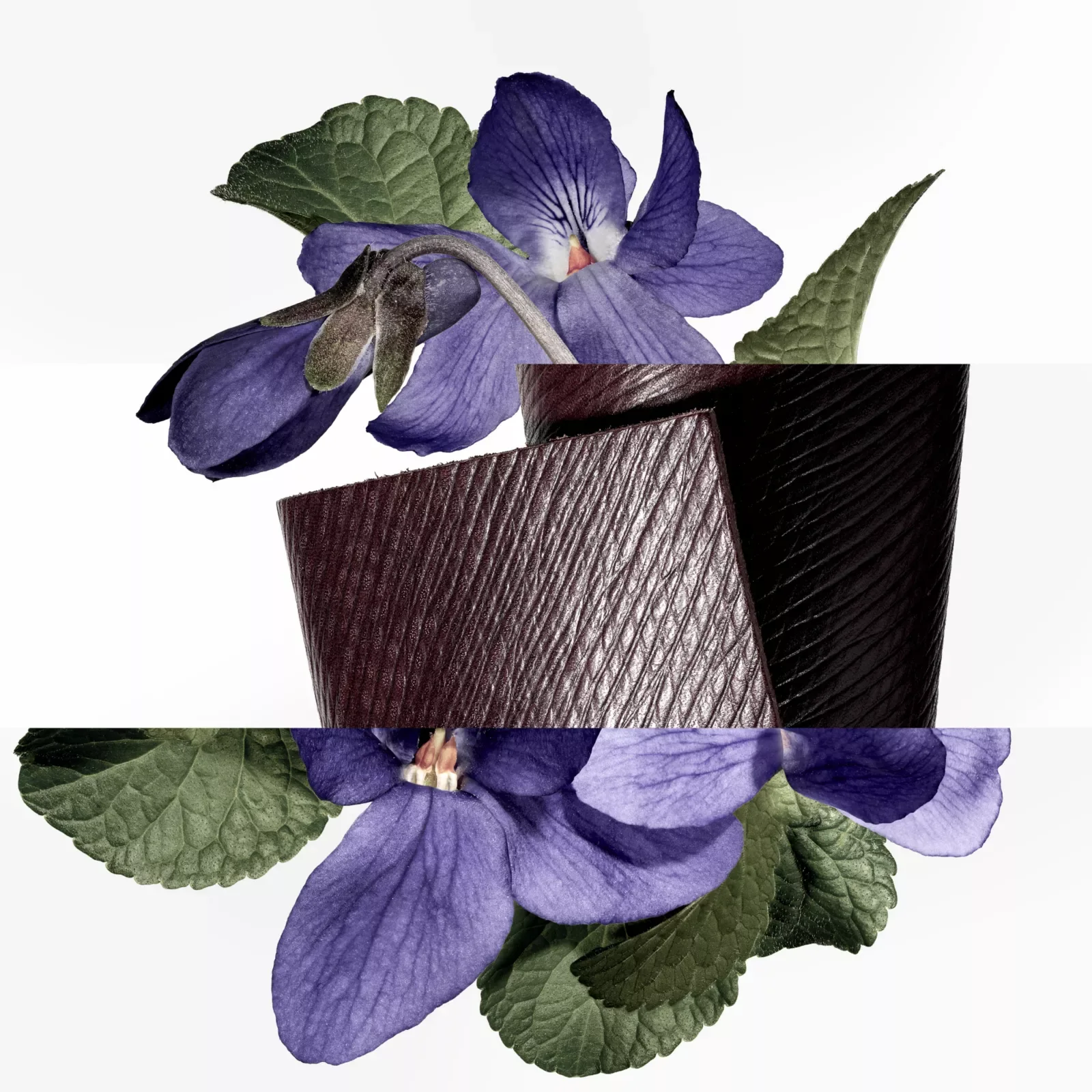 Туалетная вода Hermès Violet — фото 6