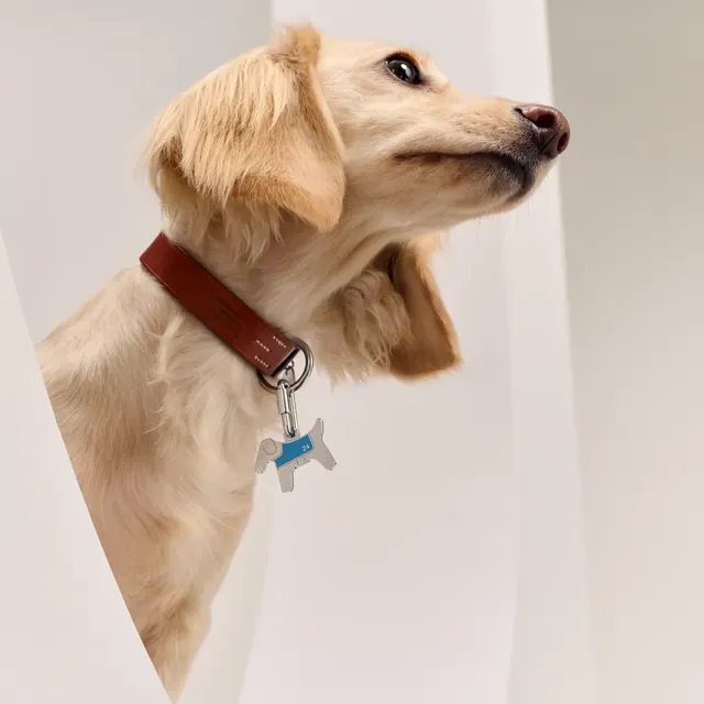 O-Dog Подвески для собак
